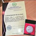 Всероссийский конкурс "РОСТОЧЕК: МИР СПАСУТ ДЕТИ". Серебряная медаль